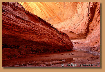 Stevens Canyon near Escalante